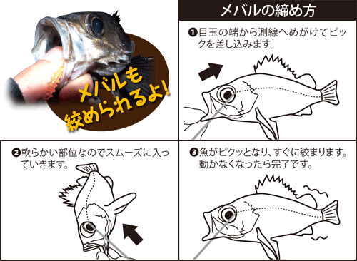 締め 方 魚