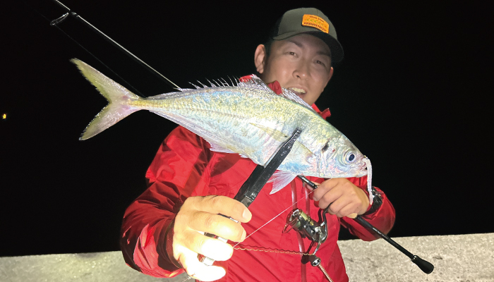 �u�����A���g 3.0�C���`