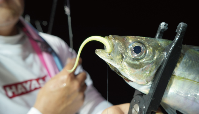 フィジットヌード 3.7インチ