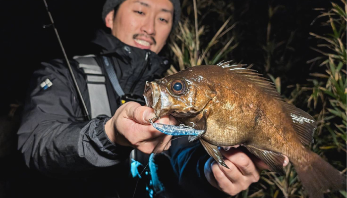 ICE CUBE IC-74TFL-Sis